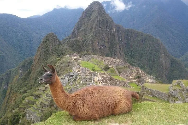Consettur bus and Voyager train connection for a Machu Picchu day trip from Cusco, Peru