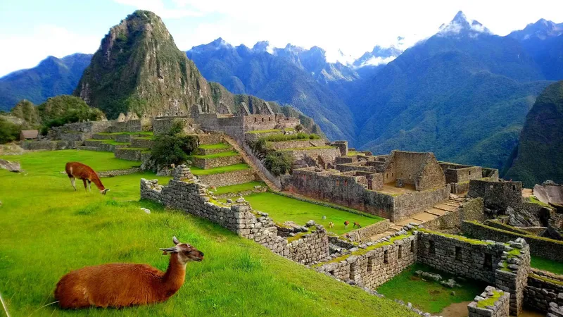 Cyclists biking through Abra Malaga on a 4-day Inca Trail route to Machu Picchu, Peru
